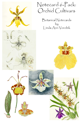Cultivated Orchids: Oncidiinae